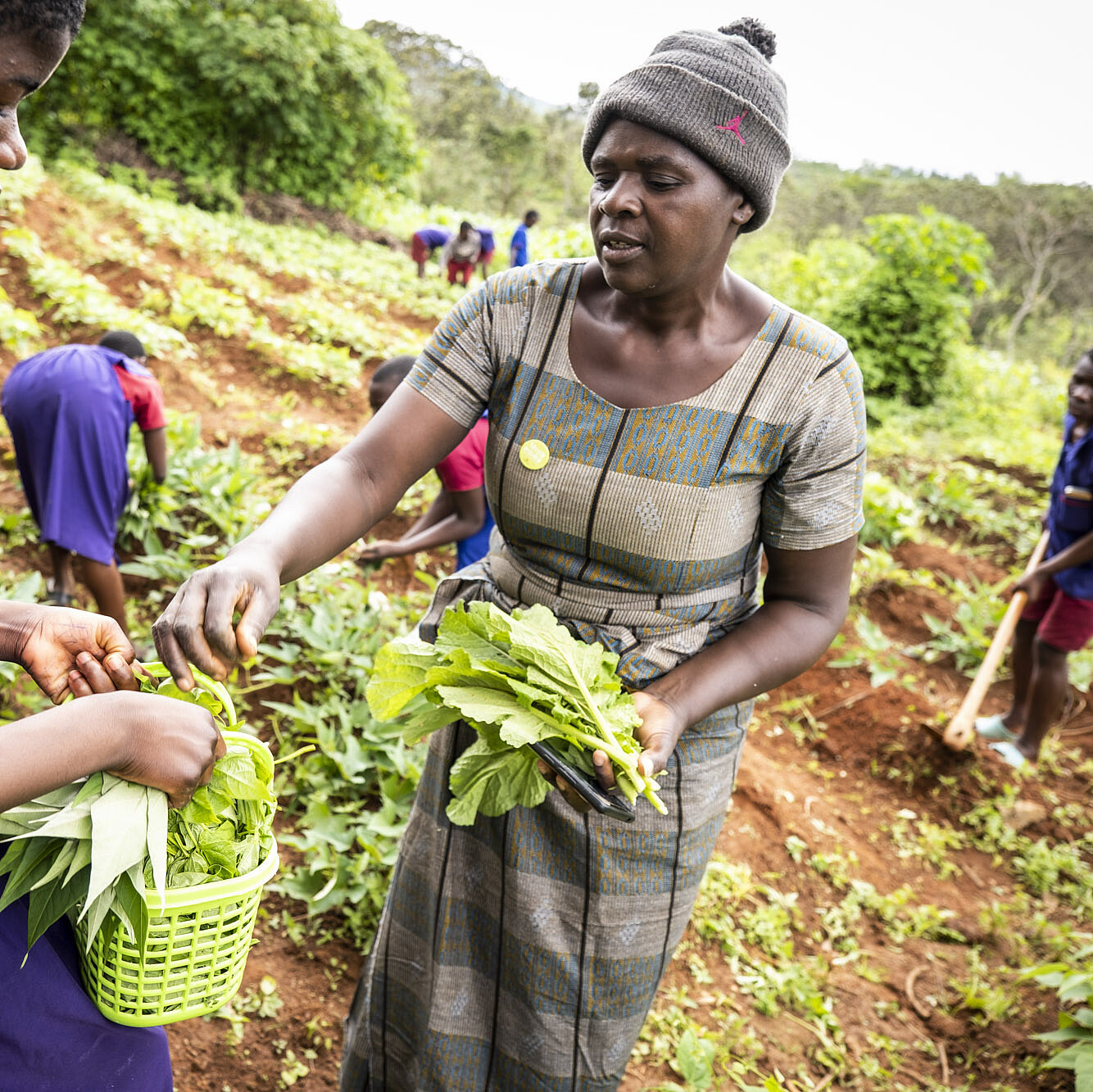 Mary Madalo Harawa (Protagonistin)